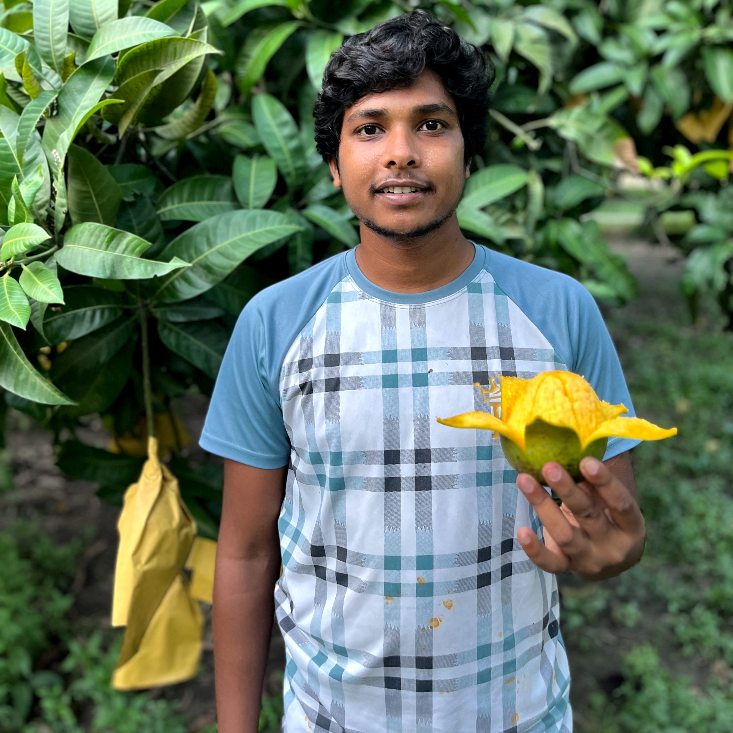 আম ৬